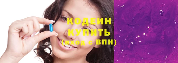 молекула духа Арсеньев