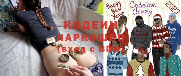 молекула духа Арсеньев